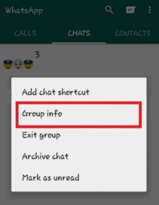 WhatsApp grupā pieskarieties grupas informācijai